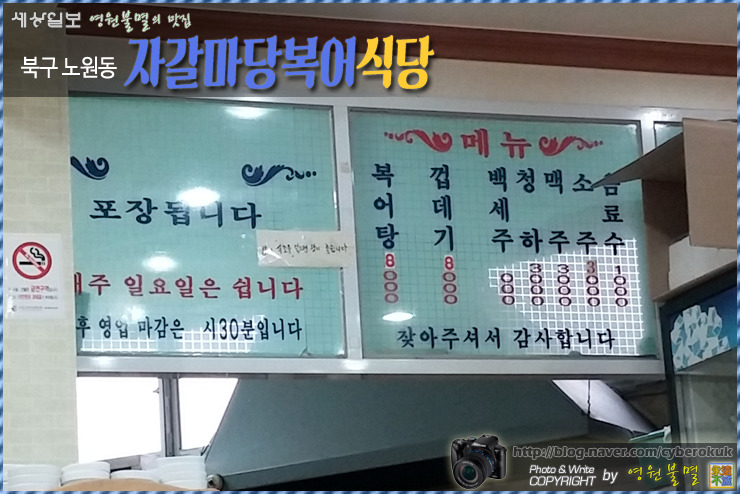 자갈복어 이미지