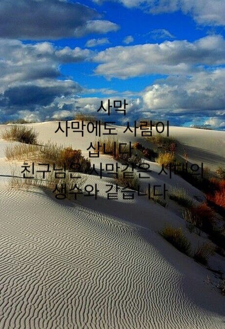 글 사진 