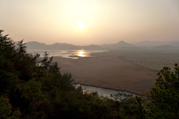 순천만 숲1 이미지