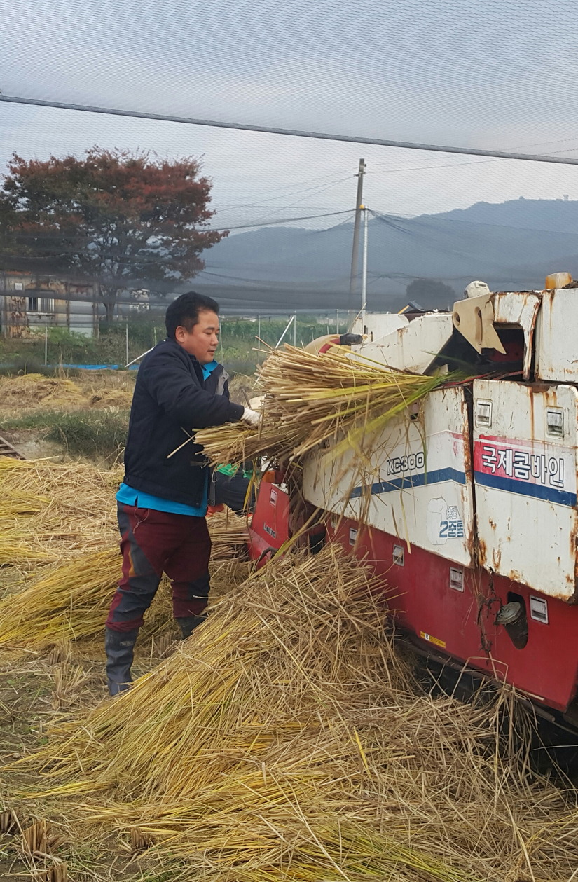 만호 이미지