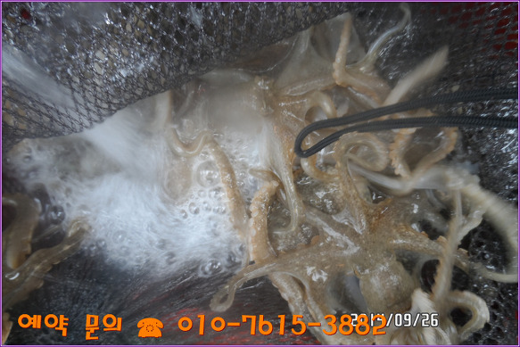 243C724D542562050C36F8