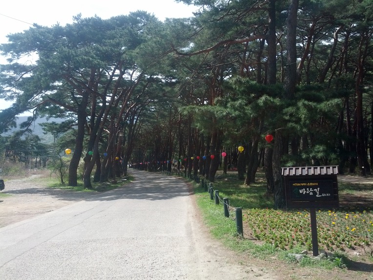 청도가는길 이미지
