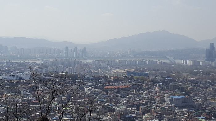 중구회현센타 스트레칭회원과함께 남산 꽃길을 걷다.