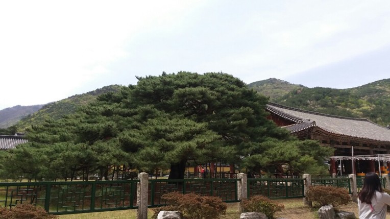 청도가는길 이미지