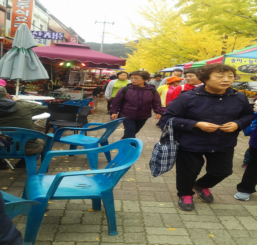 속리산의 단풍