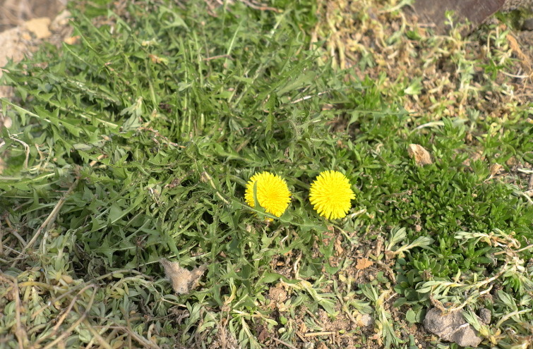 25157C39533D06B40897A7