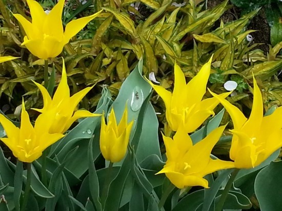 나는 어떤 사람인가?