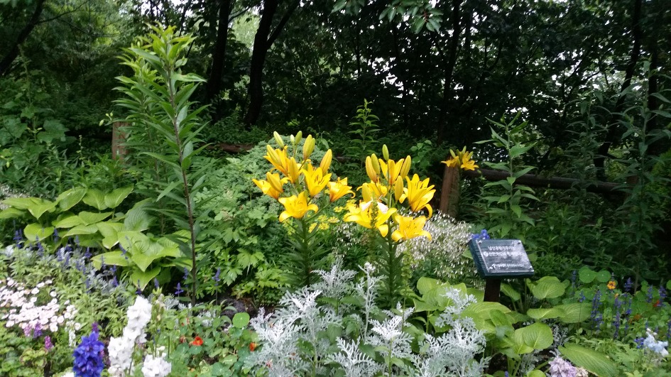남산둘레길에서 / 2017.06.10