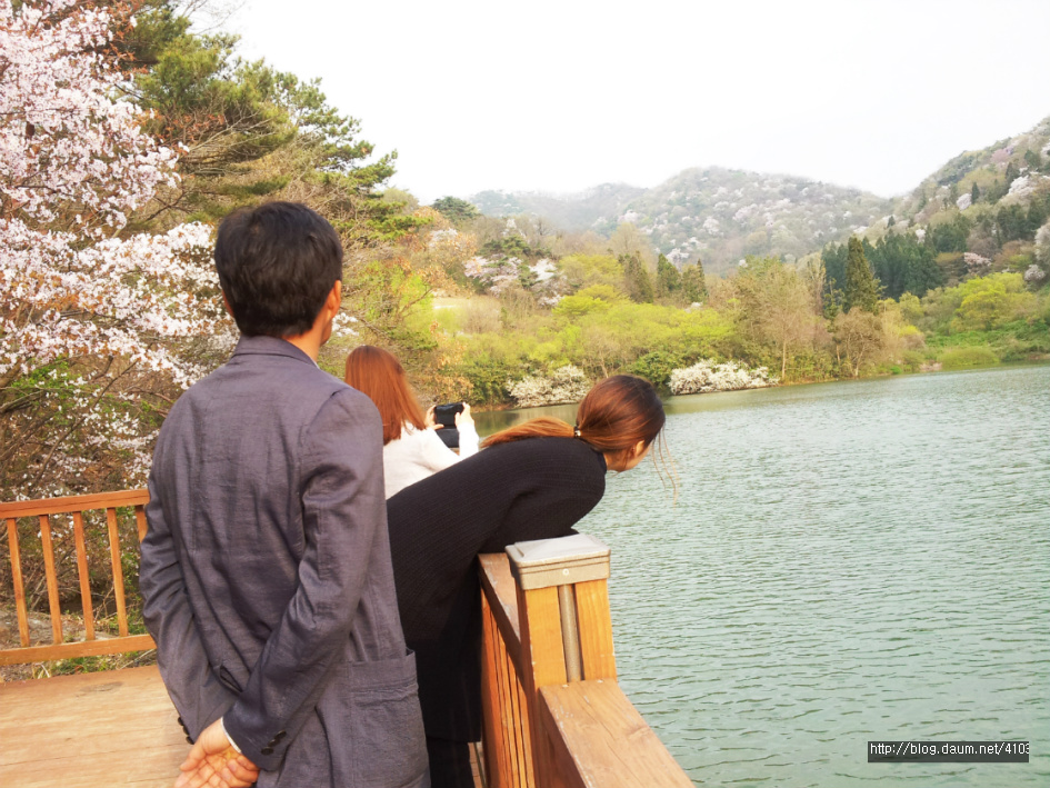 사진의 명소 화순 세량지 숲