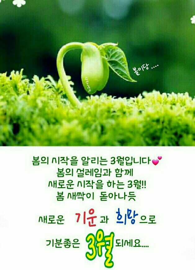봄이  소식  전합니다
