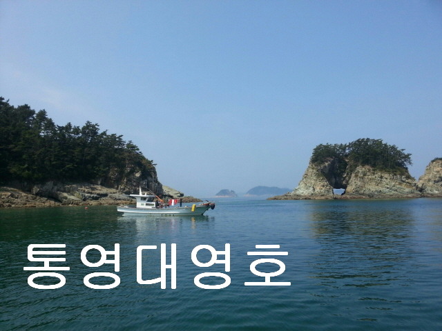 대영호]17~18조항입니다!!손맛!!