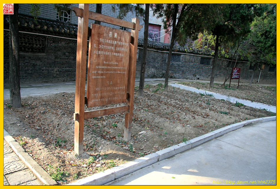 화타가 기가막혀~~