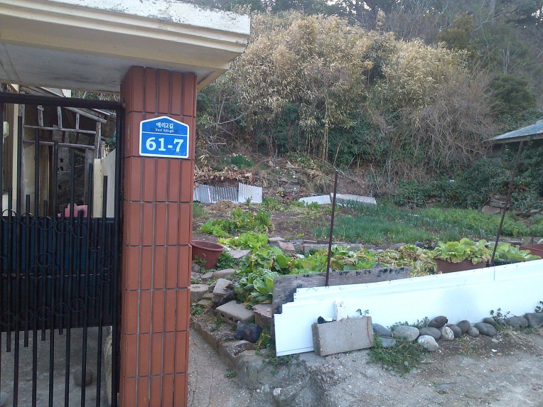 흑산도집 이미지