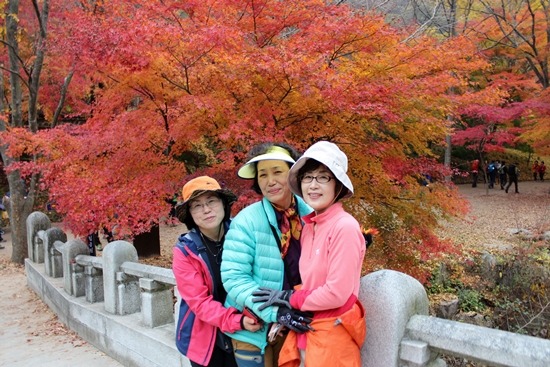 더블클릭을 하시면 이미지를 수정할 수 있습니다
