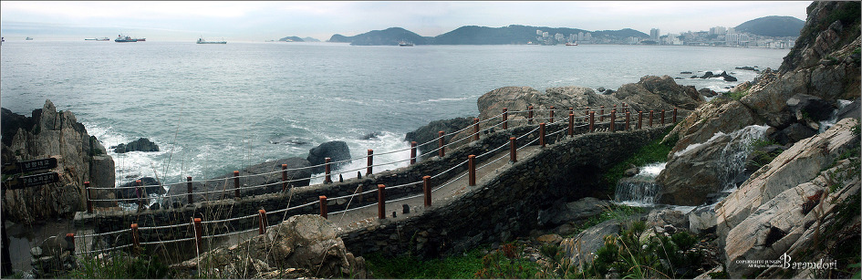 동삼이네 이미지