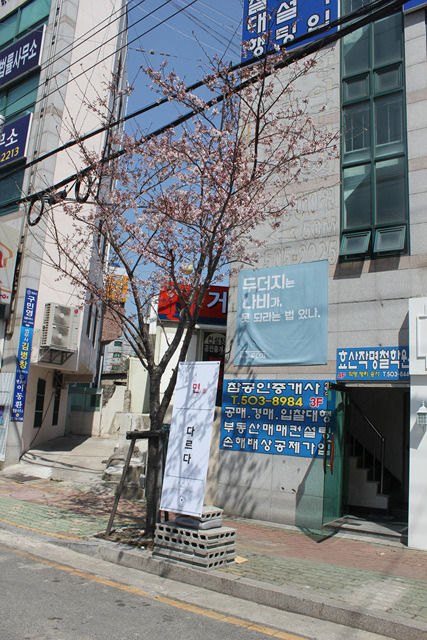 제면식당 이미지