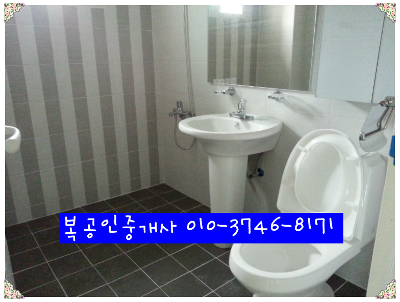 대전서구원룸임대,서구내동원룸/투룸임대.내동상가주택매매.﻿