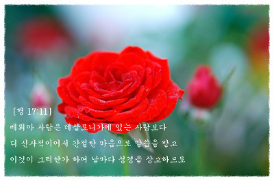 육하원칙 이미지