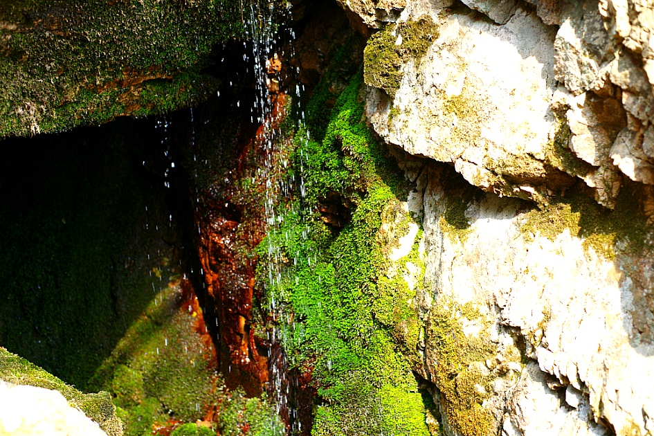 봄이 오는 소리