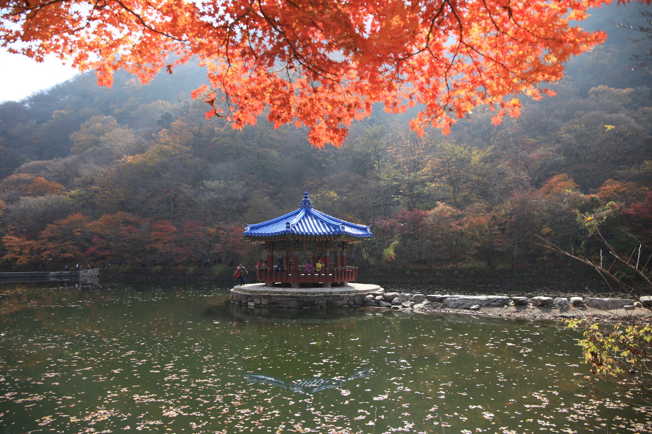 내차로,열흘간 시간여행,11일째(여수,내장산단풍)