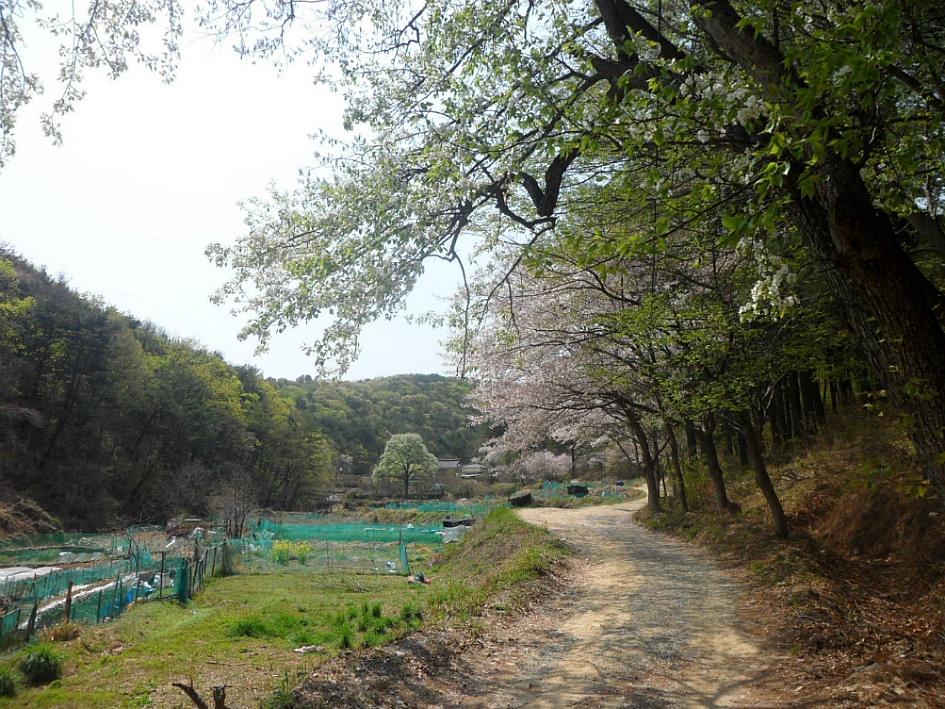 문수산 2019-04-06