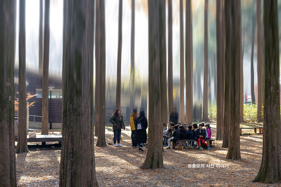 가을의 중심에서