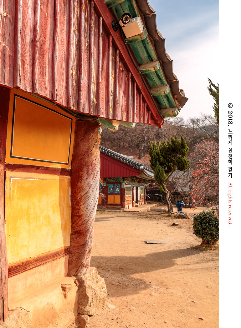 마음을 열어 깨달음을 얻는 절 서산 상왕산 개심사~ 