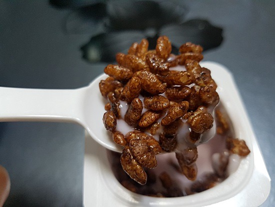 미래 식량-고소애(밀웜)_고단백,고영양 미래식품_곤충식품_식용곤충