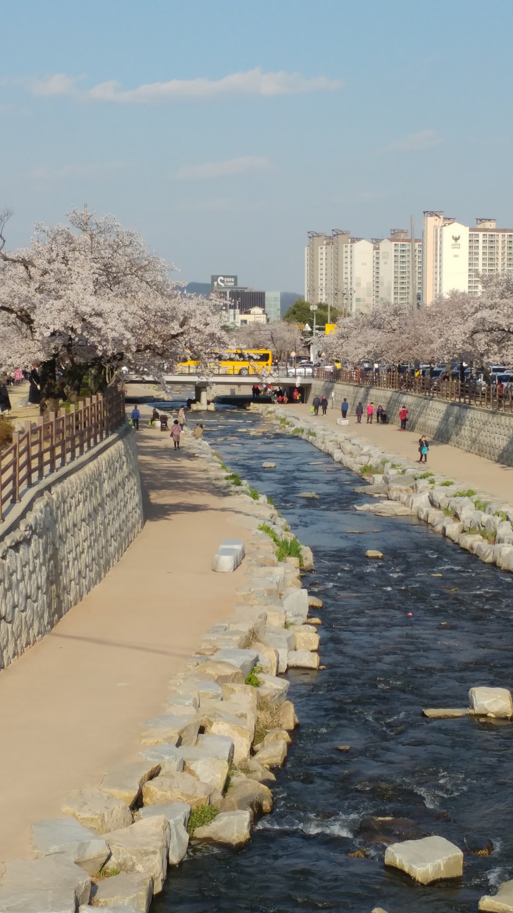금오산 벚꽃축제