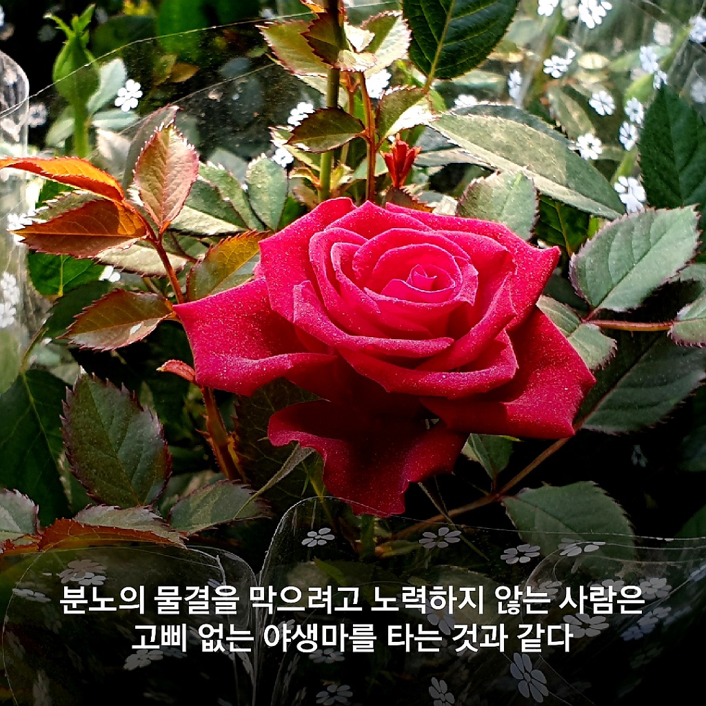 침묵은 