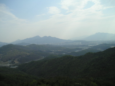 긍정적인 사람들이 생산성이 더 높다