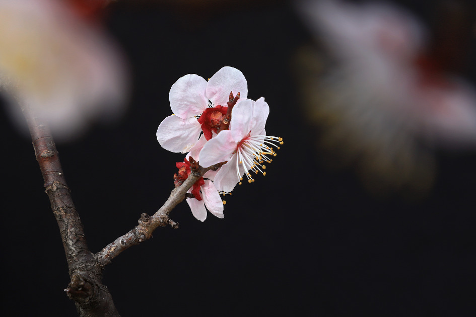 암중화 (김해건설공고. 2019.03.06.수)