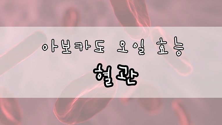 요즘 뜨는 아보카도 오일 효능은?