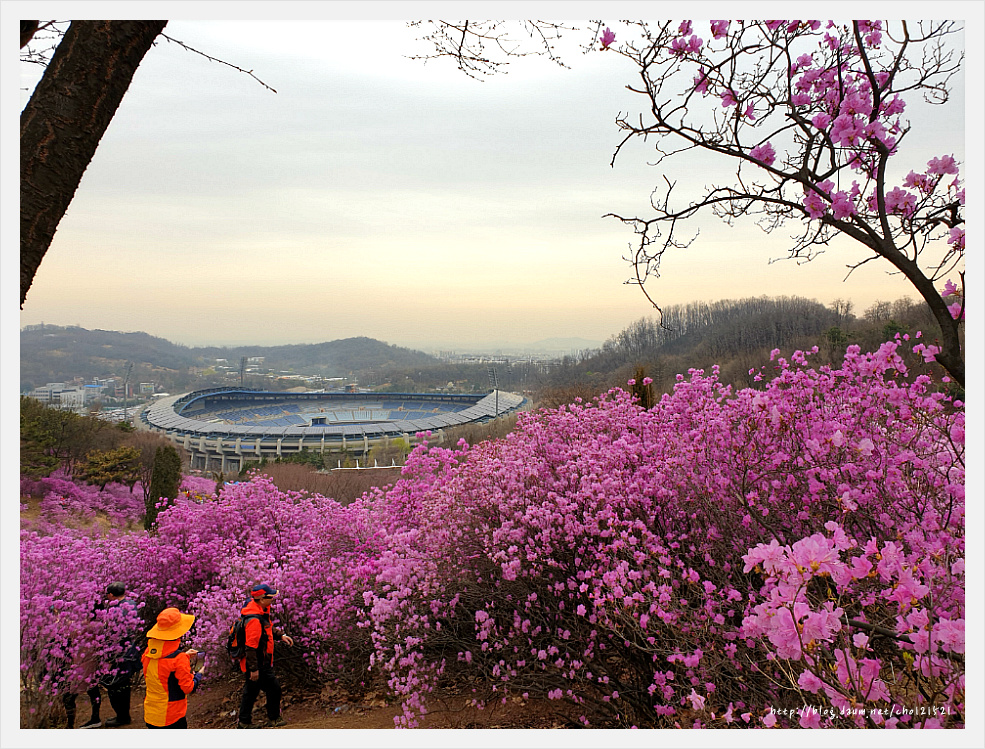 부천 원미산 진달래축제를 가다 ^^