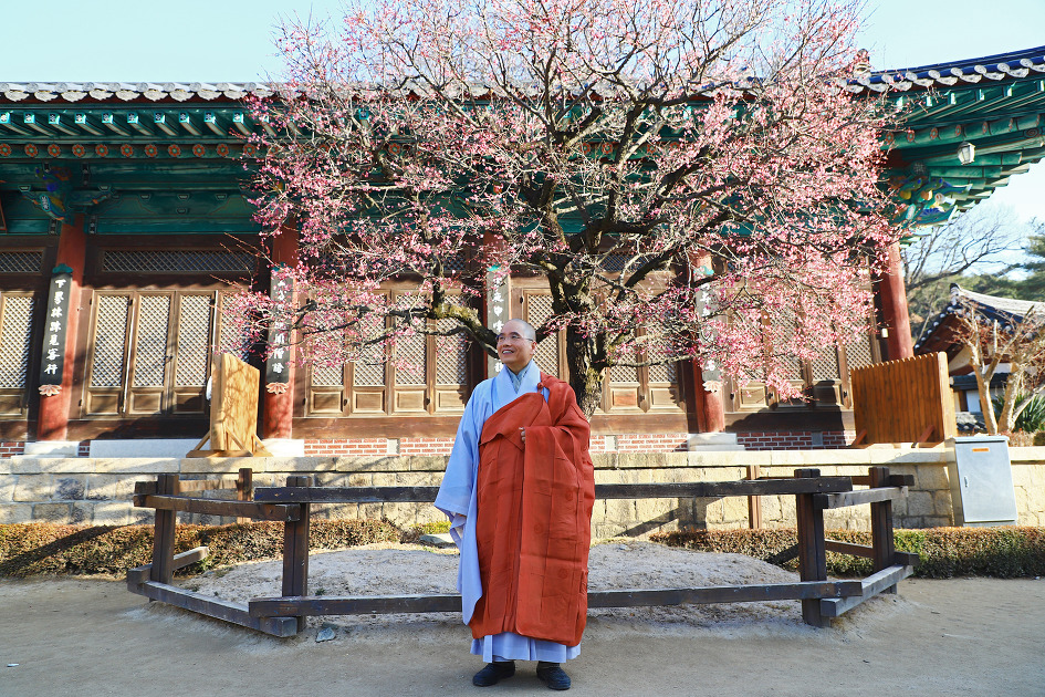 모델 스님 (통도사. 2019.02.05.화)