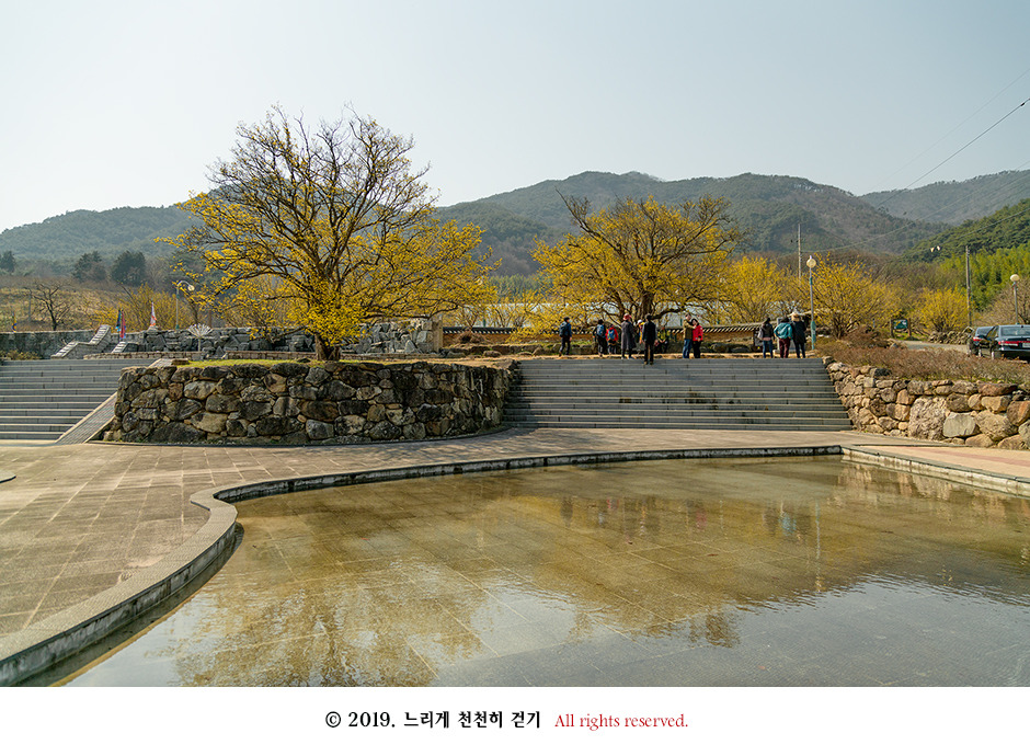 구례 현천마을의 노란 봄빛과 천년의 나무 계척마을 산수유시목지