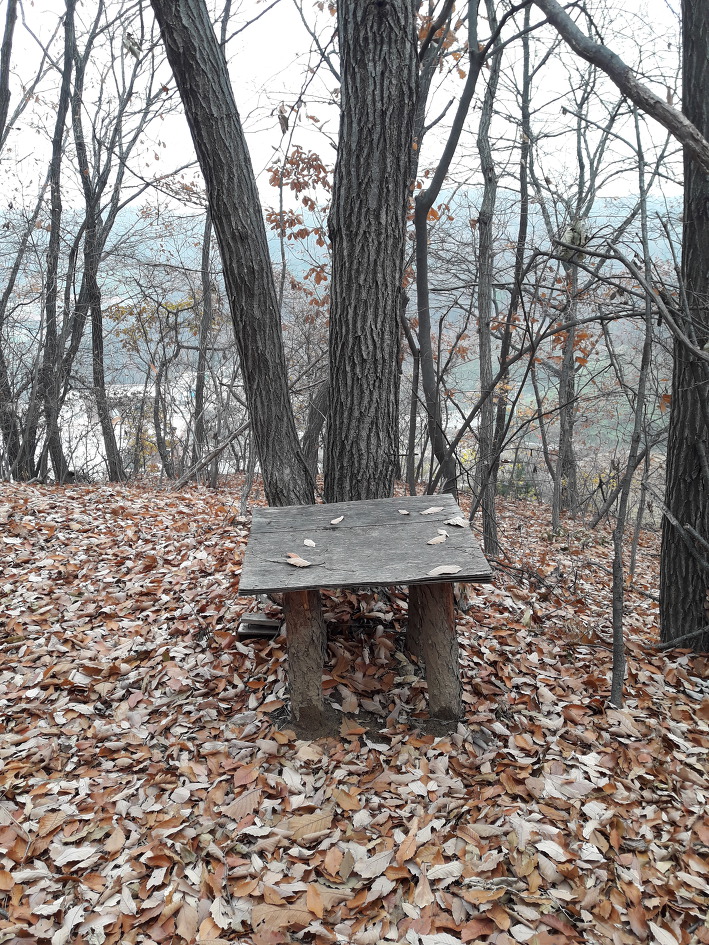 낙엽쌓인 화성 무봉산,함봉산(2018년11월11일)