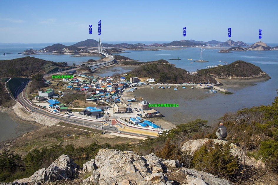 [군산] 신시도 앞산 산자고/산자고 꽃밭에서 놀다