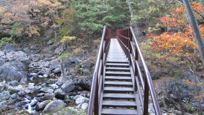 지리산 피아골 단풍 산행기