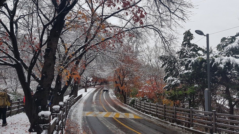 시즌 체인지
