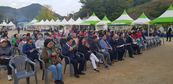 힐링노래광장 이미지