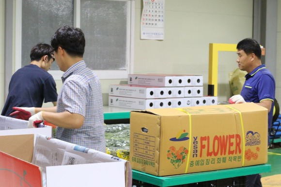 日 ‘오봉절’ 앞두고 충남 국화 수출 급증