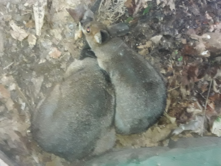 호주 시드니 오페라하우스,청정 낙농의나라 뉴질랜드 밀포드사운드 관광