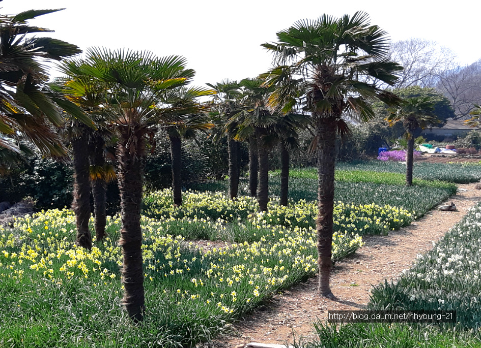 고딩 친구들과 경상남도 거제시 명소(매미의 성, 공곶이 등) 봄 나들이...