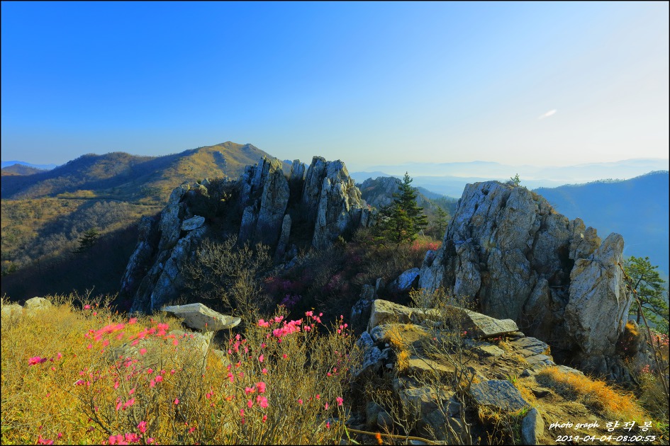 주작산 봄 풍경
