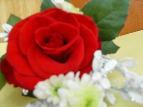 999A0D465CC8587E04B3F3