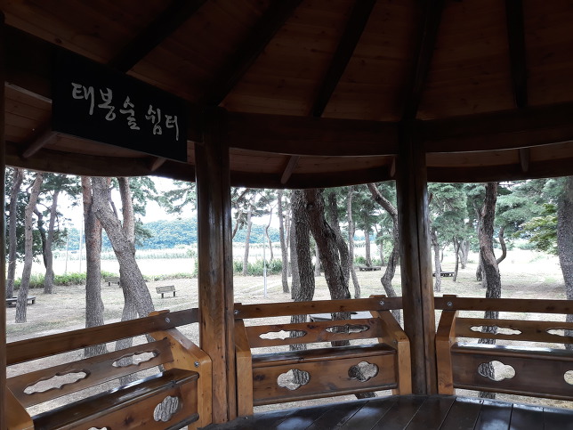 낙동강칠백리 이미지
