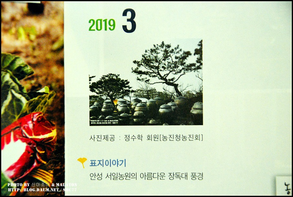 농진중앙회 희망농촌 2019년 3월호 표지 사진제공