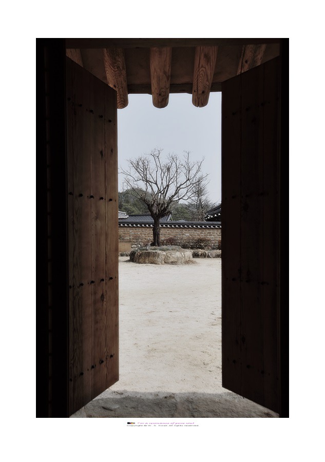 동계종택매(桐溪宗宅梅)