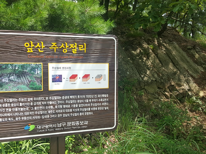 대구 시민의 휴식처 앞산올랐다가 택시타고 온 사연은? 